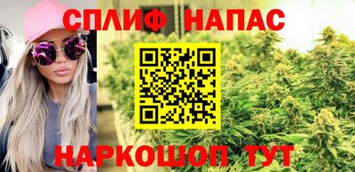 стафф Туймазы